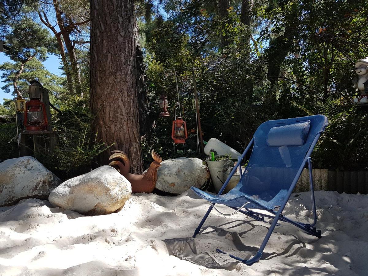 CasitaCuriosa  chalet op camping met buitenzwembad Balen Buitenkant foto
