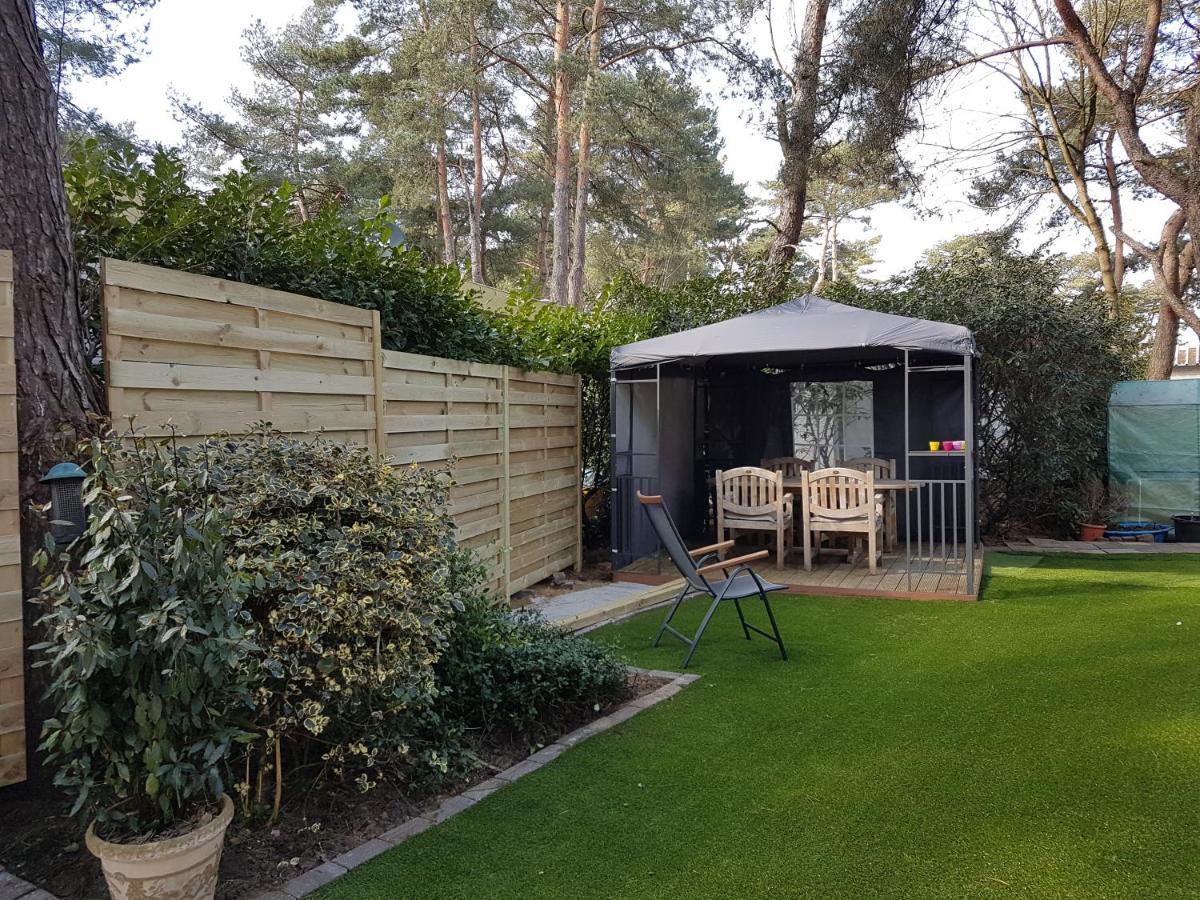 CasitaCuriosa  chalet op camping met buitenzwembad Balen Buitenkant foto