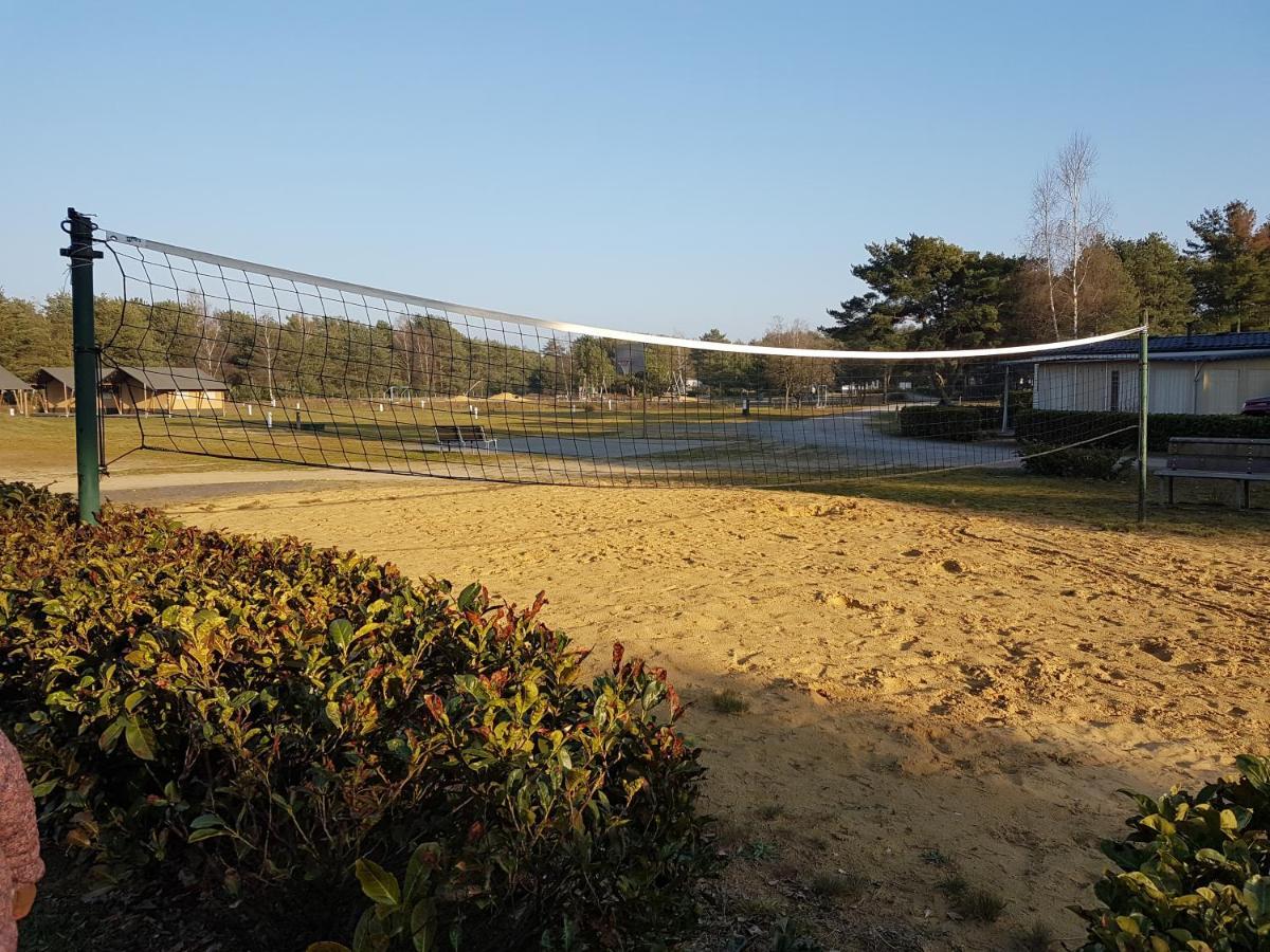 CasitaCuriosa  chalet op camping met buitenzwembad Balen Buitenkant foto