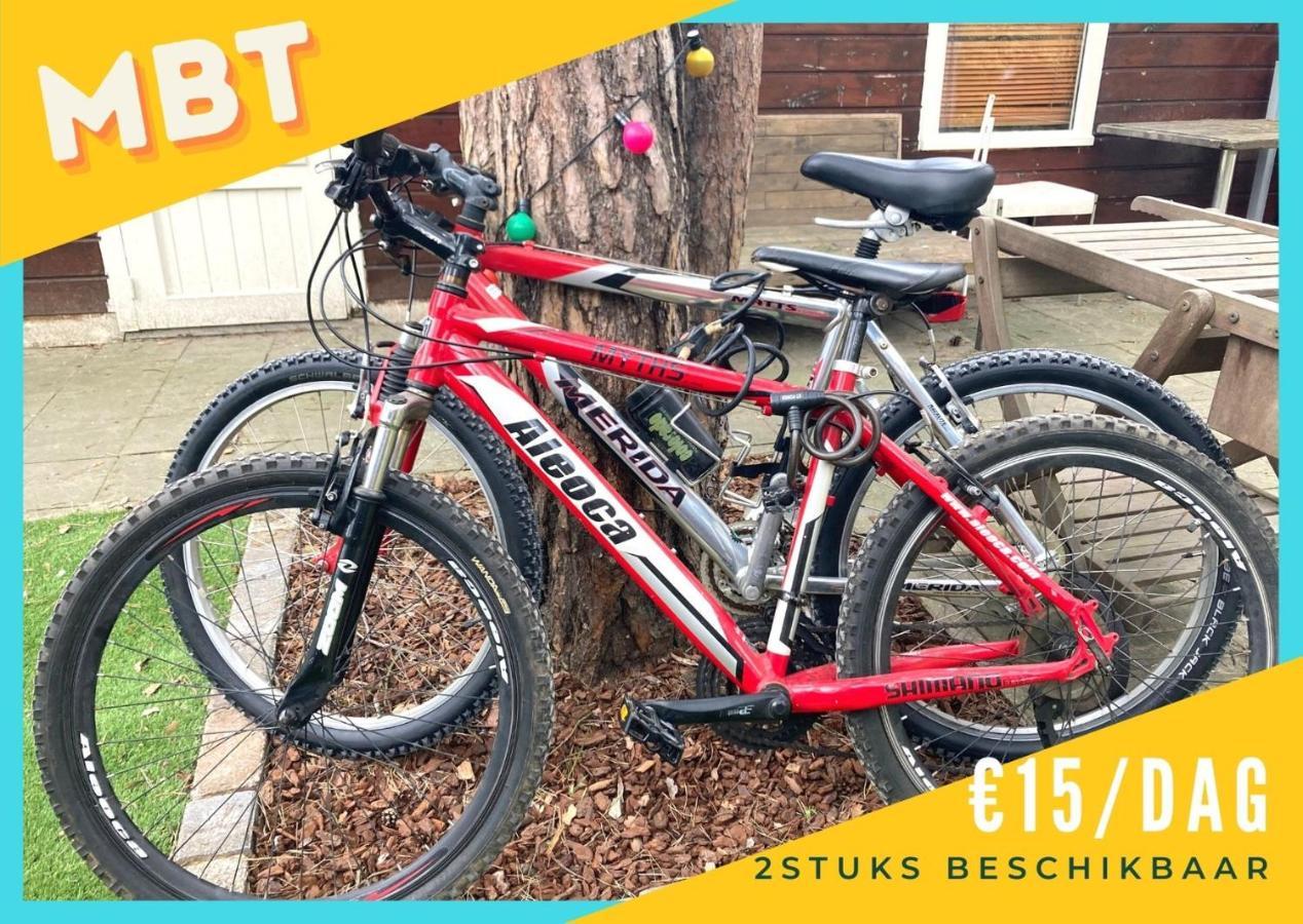 CasitaCuriosa  chalet op camping met buitenzwembad Balen Buitenkant foto