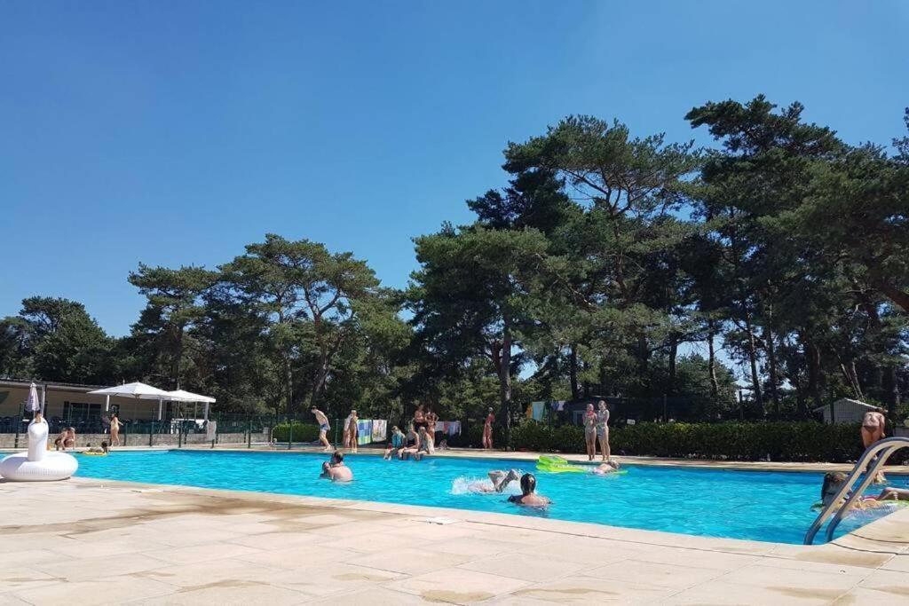 CasitaCuriosa  chalet op camping met buitenzwembad Balen Buitenkant foto