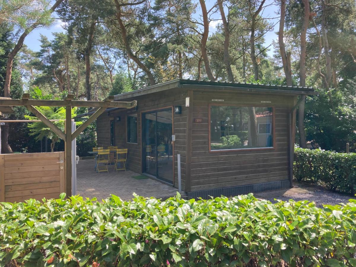 CasitaCuriosa  chalet op camping met buitenzwembad Balen Buitenkant foto