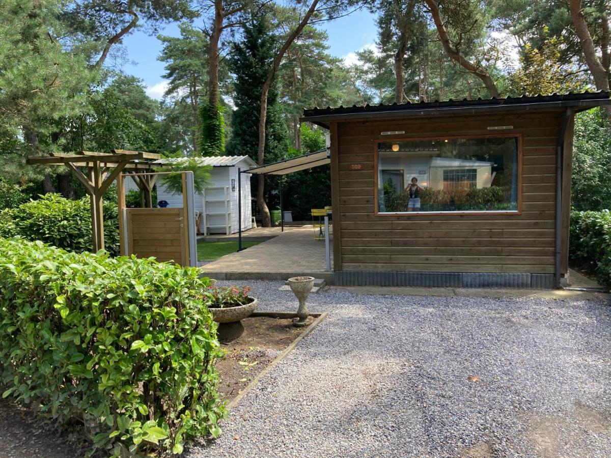CasitaCuriosa  chalet op camping met buitenzwembad Balen Buitenkant foto