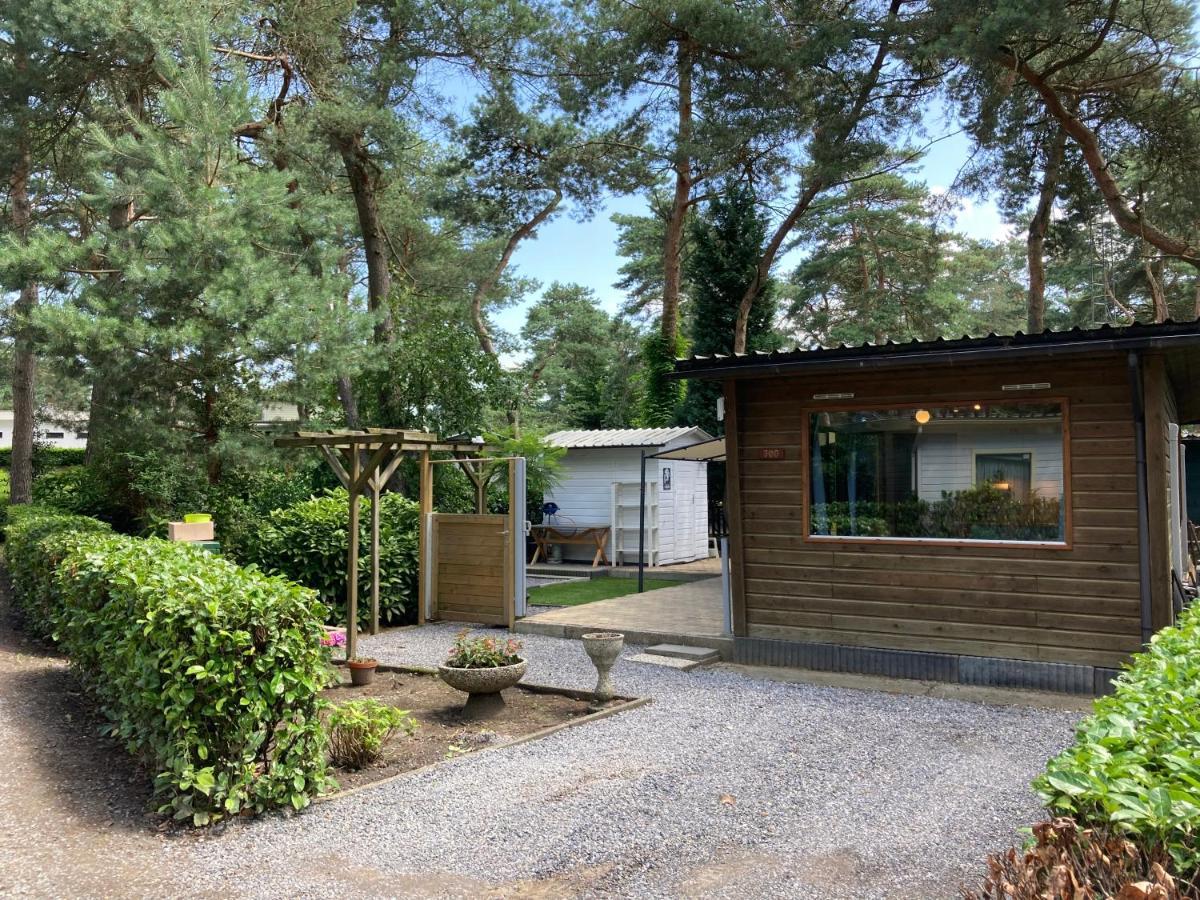 CasitaCuriosa  chalet op camping met buitenzwembad Balen Buitenkant foto