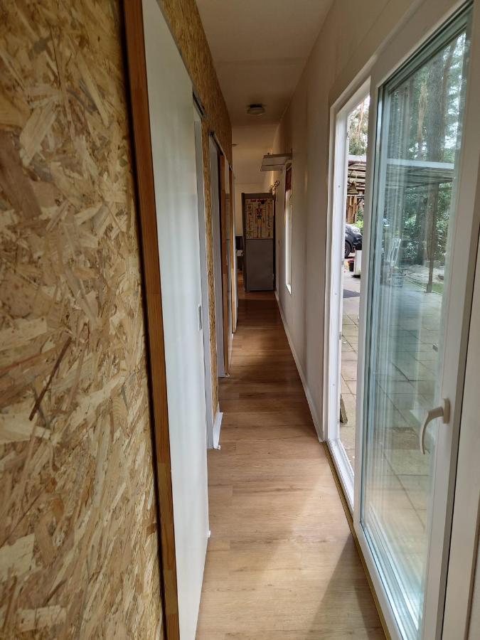 CasitaCuriosa  chalet op camping met buitenzwembad Balen Buitenkant foto