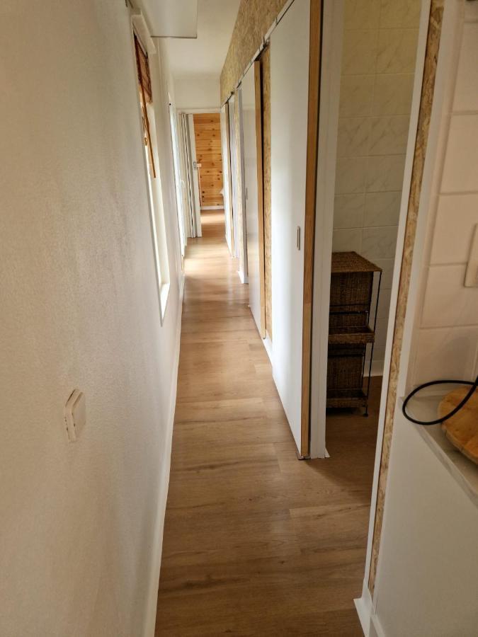 CasitaCuriosa  chalet op camping met buitenzwembad Balen Buitenkant foto